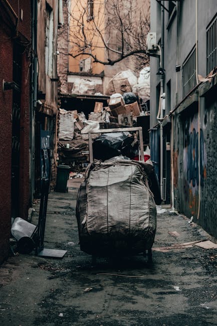 A narrow urban alleyway cluttered with household waste and discarded items, featuring a large black garbage bag in the foreground placed on the pavement. Behind it, a trolley or cart loaded with more rubbish, including tangled cords and plastic bags. The surrounding environment includes tall, weathered buildings on either side, with graffiti on the walls and a variety of debris scattered across the cracked, stained ground. In the background, there is a pile of flattened boxes, paper, and other waste materials stacked against a weathered fence or wall, with some bare tree branches visible overhead. The scene is lit with natural light, casting subtle shadows that highlight the cluttered and neglected appearance typical of an area requiring rubbish removal services. The image emphasizes the importance of on-site rubbish clearance and private waste handling solutions, similar to those offered by Rubbish Removal Lewisham, illustrating a typical environment where independent collection could be necessary to maintain cleanliness and prevent waste buildup in inner-city alleyways.